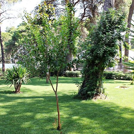 Il Melograno B&B Castellaneta Marina Exteriér fotografie