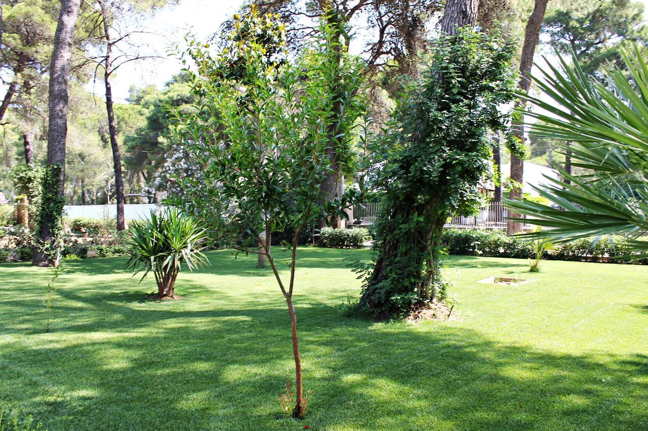 Il Melograno B&B Castellaneta Marina Exteriér fotografie